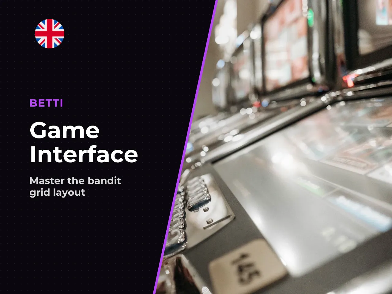 3.1. Interpreting the Le Bandit interface