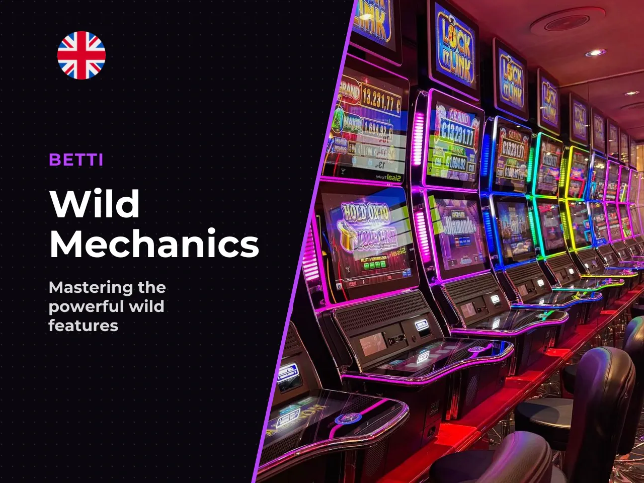 4. Wilds, Sticky Wilds and DuelReels